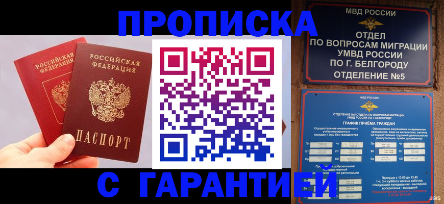 прописка 2025 в Кораблино